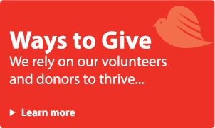 cta-ways-to-give